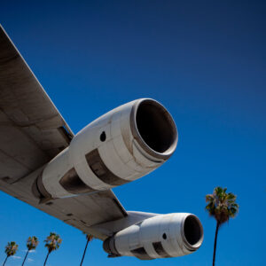 Palm Trees Airport